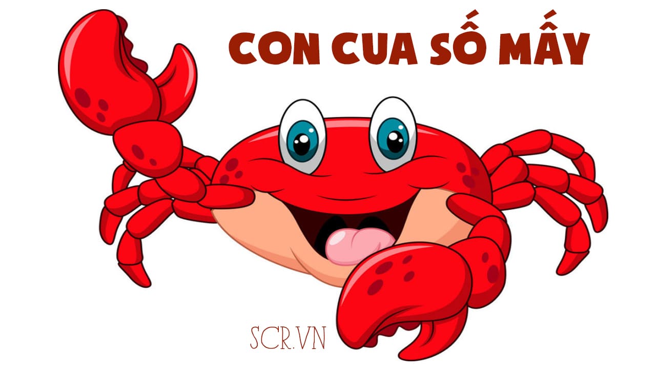Nằm mơ thấy cua đánh đề con gì chuẩn nhất