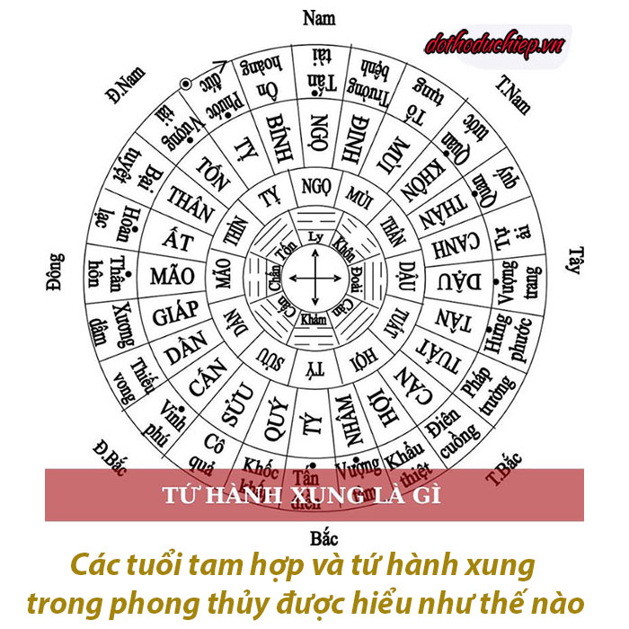 Tam Hợp tuổi Tuất mang lại may mắn và tài lộc