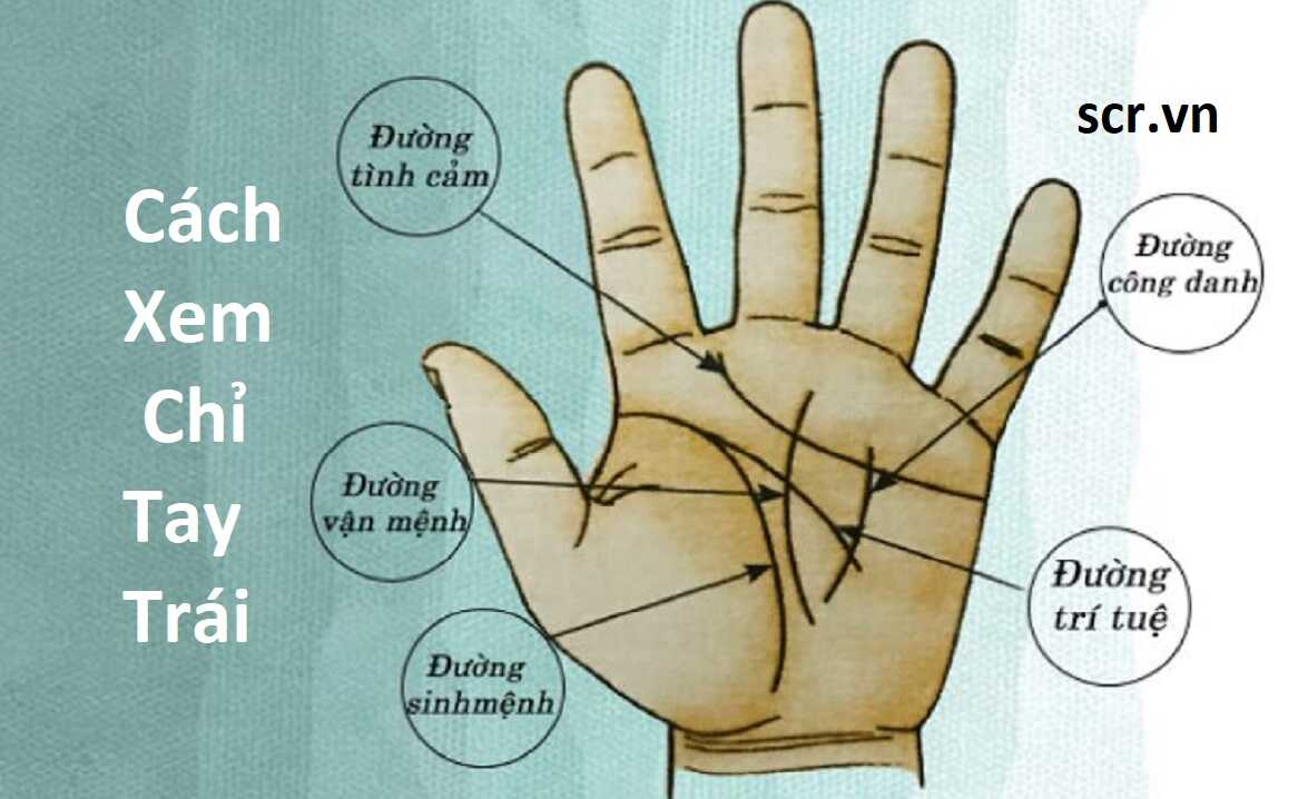 Chỉ tay nữ và ý nghĩa đường nét
