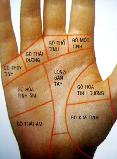 Hình minh họa các loại chỉ tay