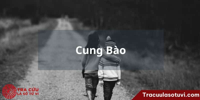 Cung huynh đệ là gì trong tử vi