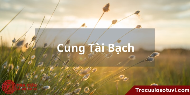 Biểu đồ cung Tài Bạch trong tử vi chi tiết