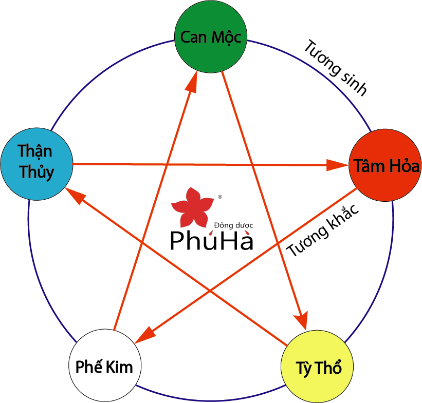 Ngũ hành gồm kim mộc thủy hỏa thổ
