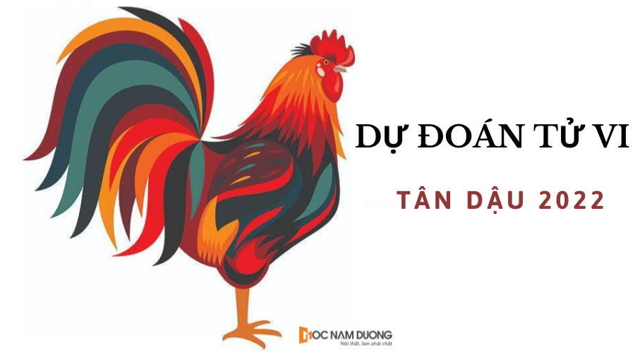 Người tuổi Tân Dậu 1981 hợp màu gì