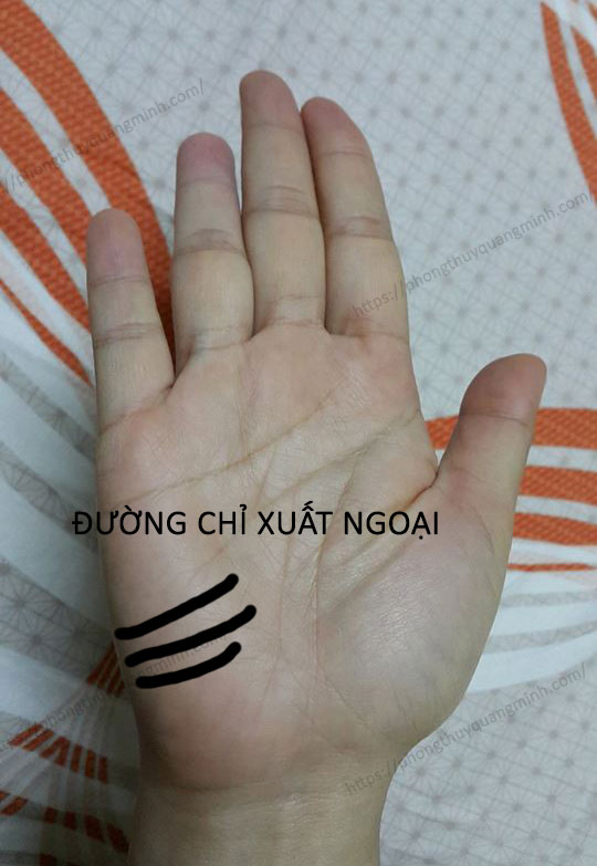 Hình ảnh đường chỉ tay xuất ngoại