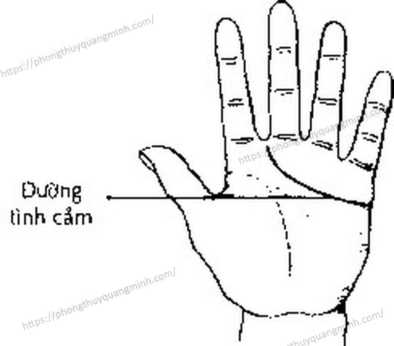 Đường chỉ tay không có đường tình duyên