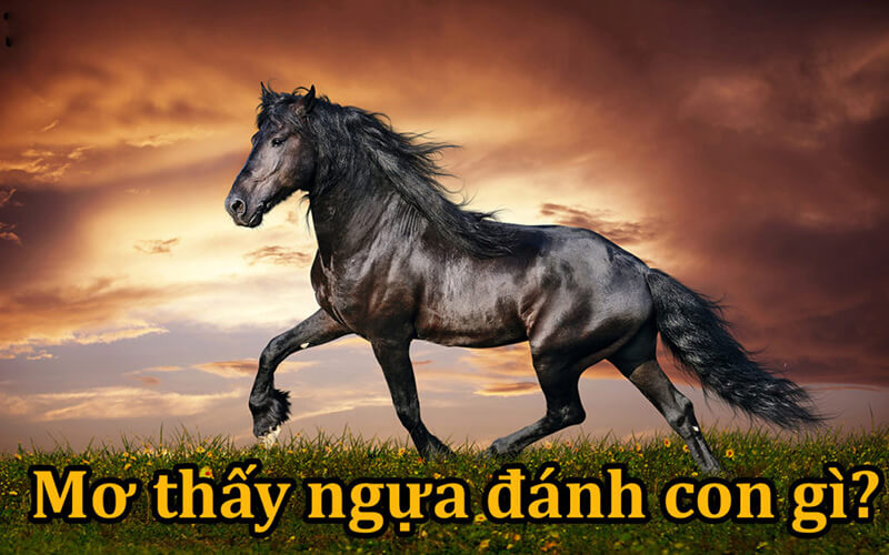 Ngựa xuất hiện trong giấc mơ ý nghĩa gì