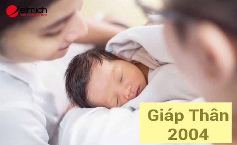 Chồng 2004 vợ 2011 sinh con năm nào hợp