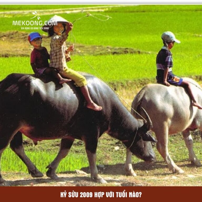Bé sinh năm 2009 tuổi Kỷ Sửu thông minh