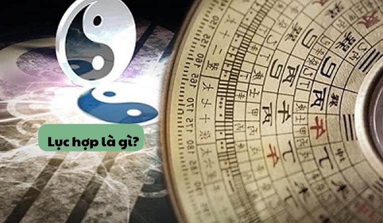 Lục hợp là gì? Giải mã ý nghĩa lục hợp trong phong thủy và đời sống Lục hợp trong phong thủy là gì và ý nghĩa