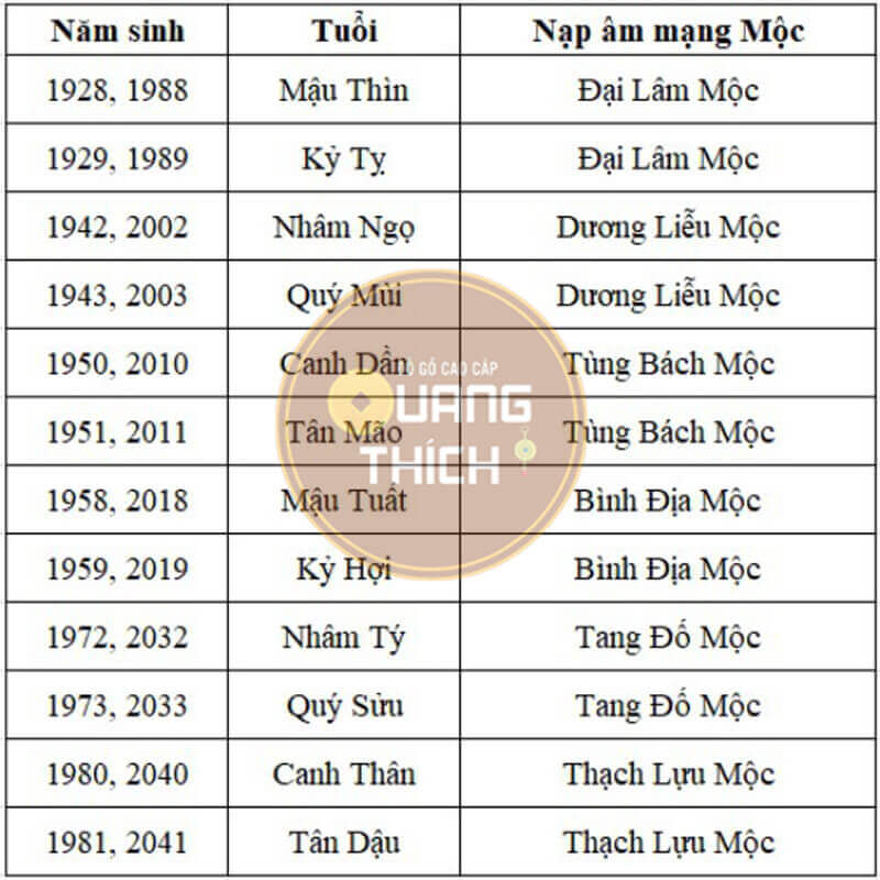 Mệnh Mộc hợp tuổi nào? Giải mã phong thủy và lựa chọn tối ưu cho cuộc sống Người mệnh Mộc hợp với tuổi nào nhất