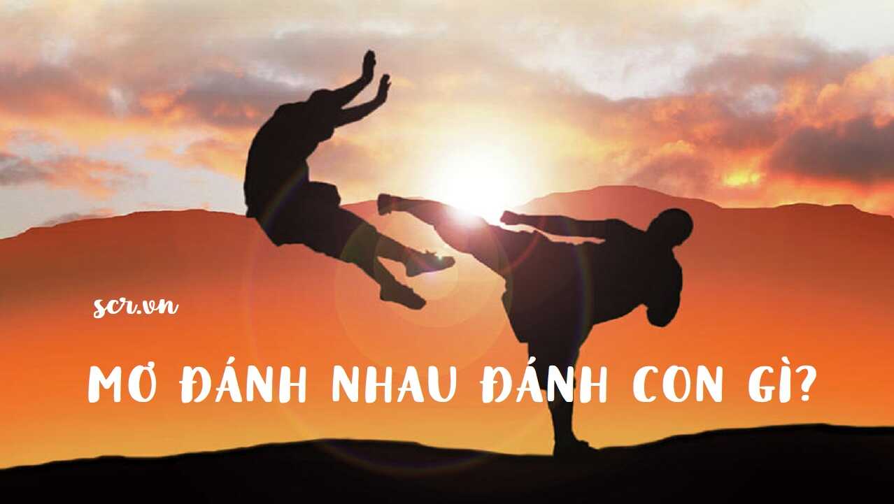 Nằm mơ thấy đánh nhau nên đánh đề con gì