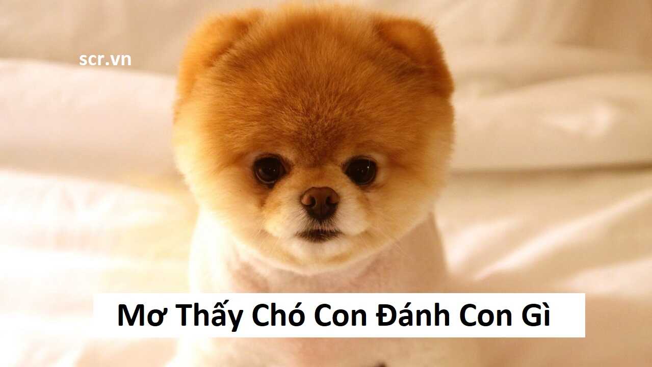 Mơ thấy người thích mình nên đánh số gì