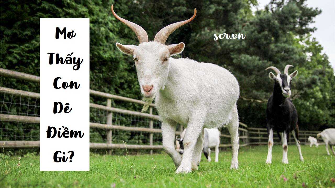 Mơ thấy trứng đánh đề số nào dễ trúng
