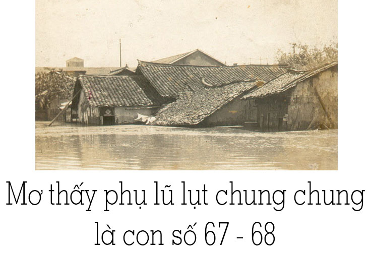 Nước lũ chảy xiết trong giấc mơ và con số may mắn