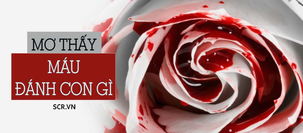 Mơ thấy máu đánh đề con gì chuẩn xác nhất
