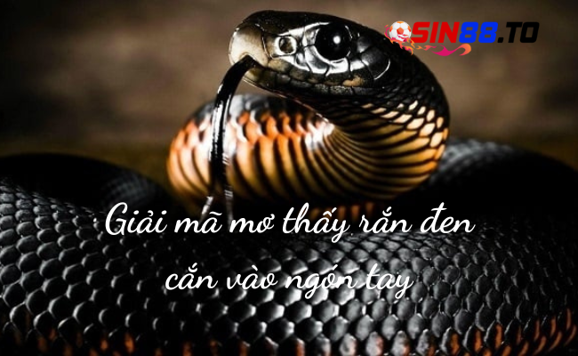 Rắn cắn vào tay không chảy máu đánh đề số gì