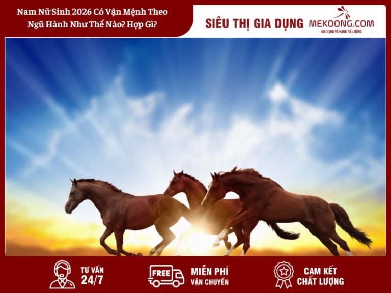 Đặt tên con theo ngũ hành năm 2026 hợp phong thủy