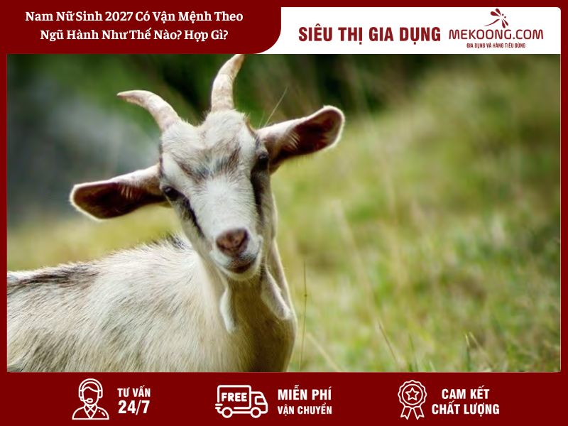 Nữ sinh 2027 mặc đồng phục tươi cười đến trường