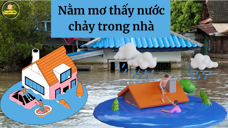 Nước tràn vào nhà trong giấc mơ
