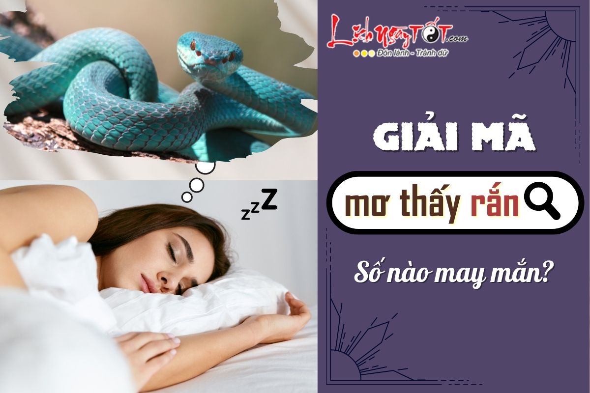 Rắn cắn vào tay khi ngủ nên đánh số gì