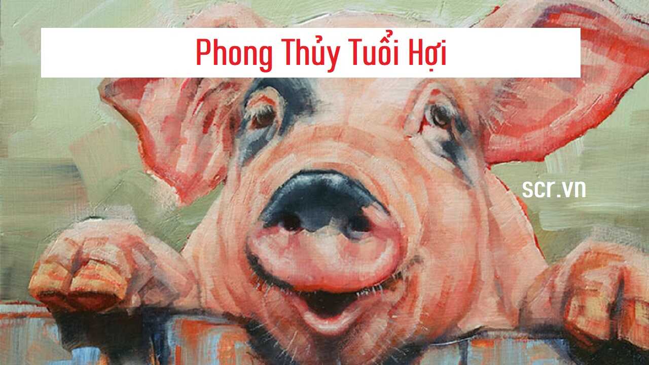 Phong thủy tuổi Kỷ Hợi sinh năm 2019