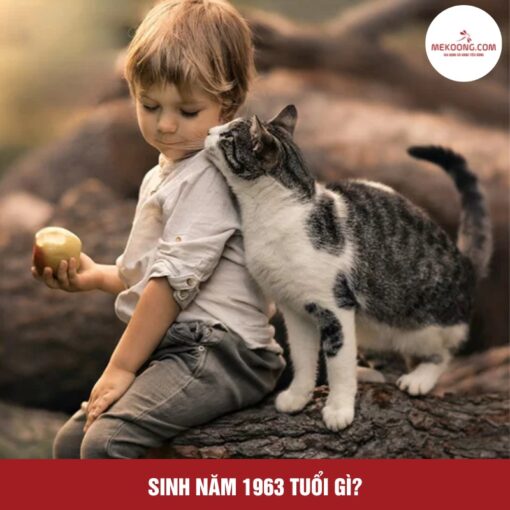 Nữ sinh năm 1963 trong tà áo dài trắng