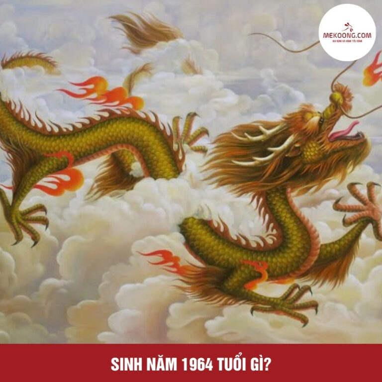 Nữ sinh năm 1964 mặc áo dài truyền thống