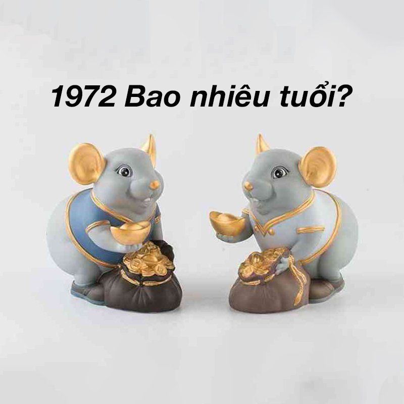 Tuổi Nhâm Tý 1972: Cách chọn ngày đẹp khai trương chuẩn phong thủy, hút tài lộc và tránh ngày xấu Tuổi Nhâm Tý 1972 vận mệnh và phong thủy năm nay