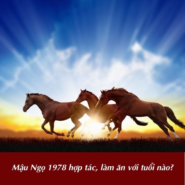 Tuổi Mậu Ngọ 1978 vận mệnh và phong thủy năm nay