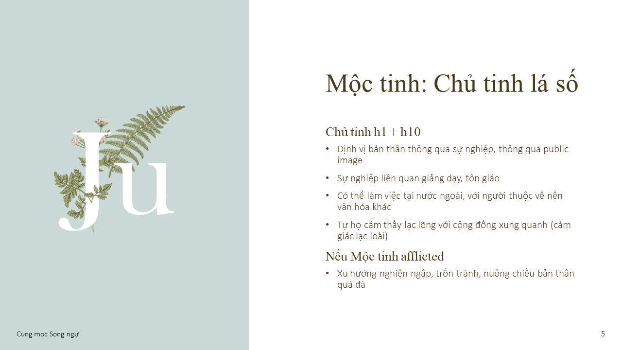 Biểu đồ xác định cung Mọc trong chiêm tinh học