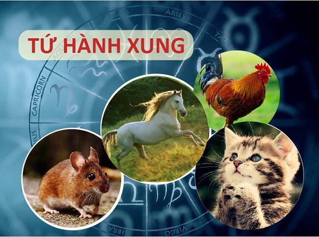 Tử vi xung tuổi là gì trong phong thủy