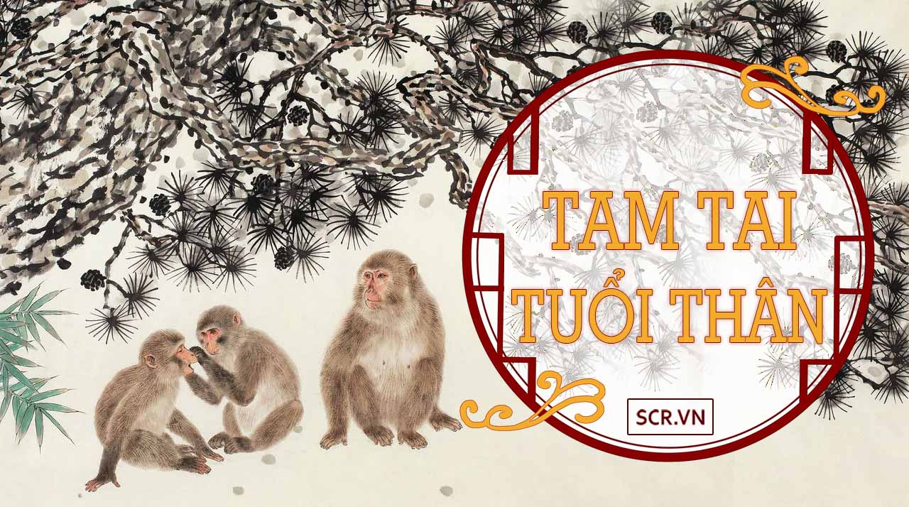 Tam tai tuổi Thân năm 2028