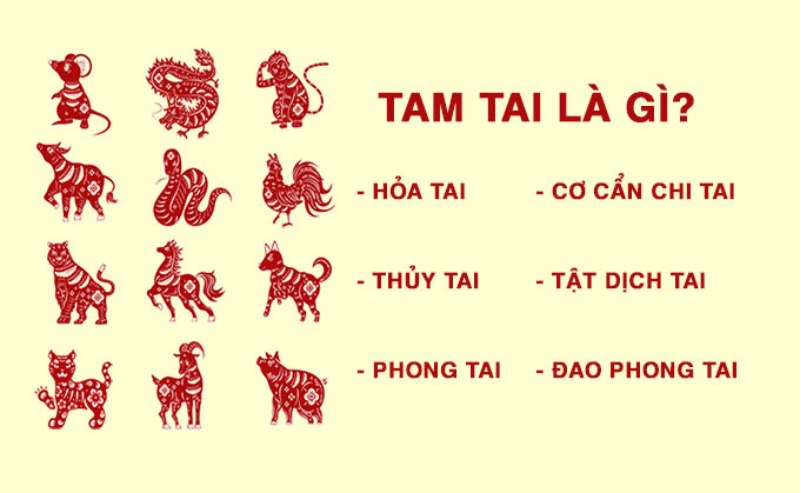 Cách tính tam tai: Hướng dẫn chi tiết, tránh vận hạn và ứng dụng thực tế trong cuộc sống Cách tính tam tai theo tuổi chuẩn nhất