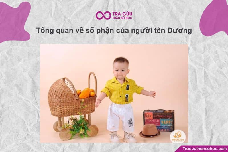Tuổi dương là gì? Góc nhìn chuyên sâu về tuổi dương trong phong thuỷ và đời sống Khái niệm tuổi dương trong phong thủy Việt Nam