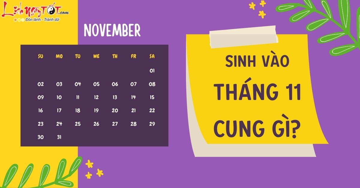 Thông tin vận mệnh cung tháng 11