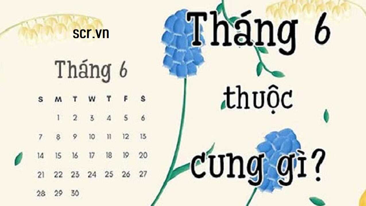 Tổng quan về cung hoàng đạo tháng 8