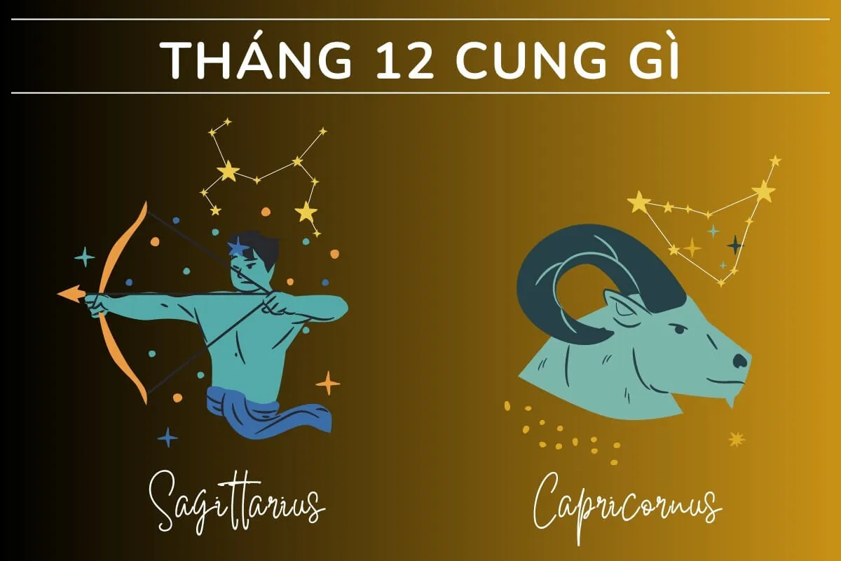 Khám phá cung hoàng đạo tháng 12