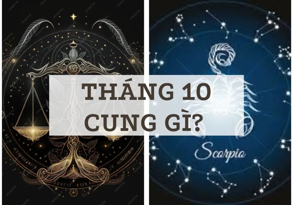 Hình ảnh tổng quan cung hoàng đạo tháng 10