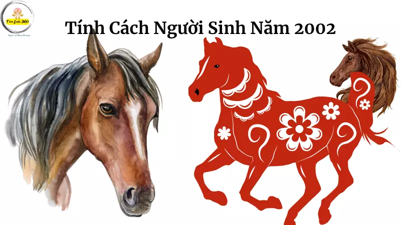 Chiêm tinh Vệ Đà cho người sinh ngày 31