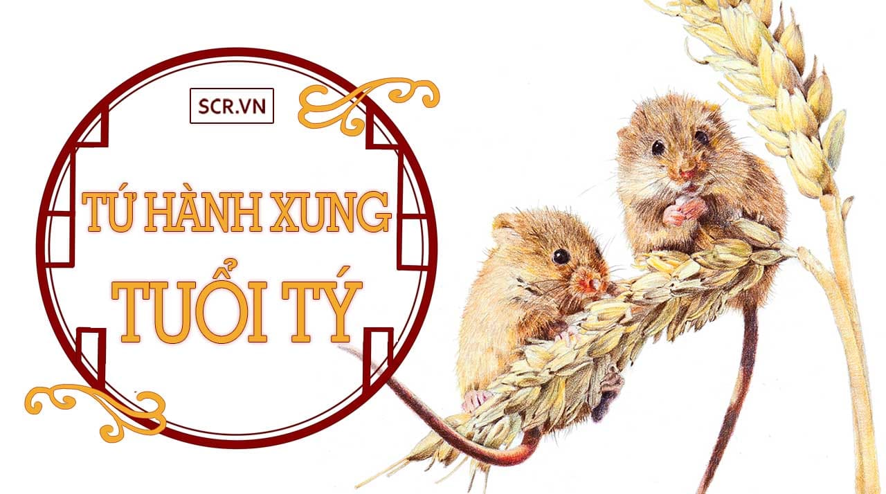 Tính cách và vận hạn tuổi Nhâm Tý