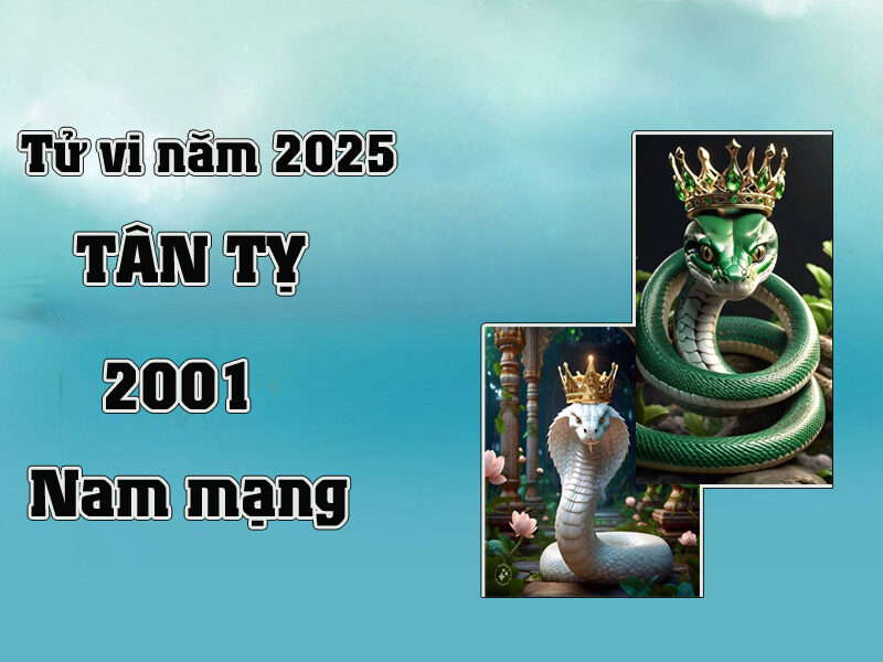 Tử vi tuổi Tân Tỵ 2001 nam mạng năm 2025