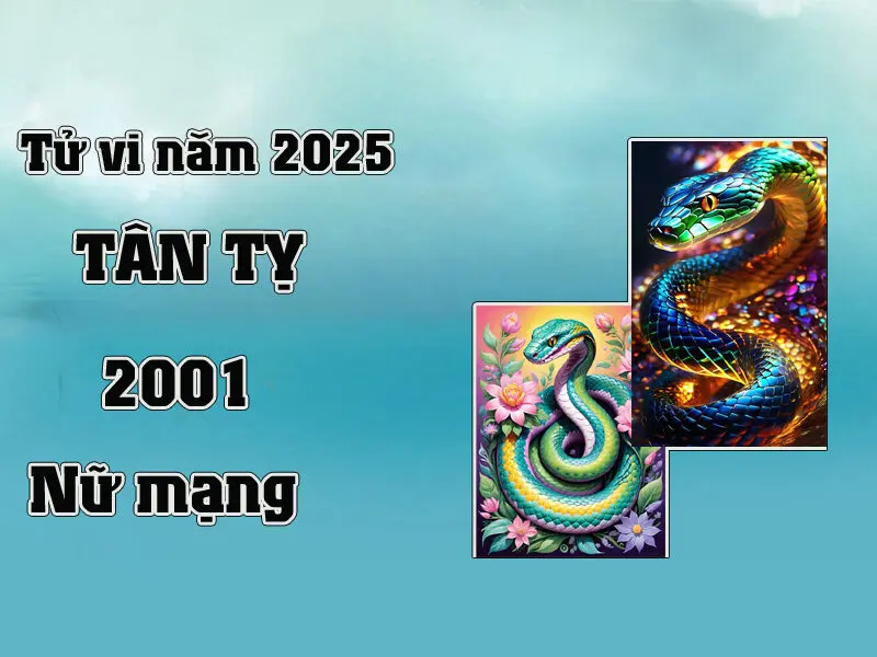 Tử vi nữ Tân Tỵ 2001 năm 2025 chi tiết