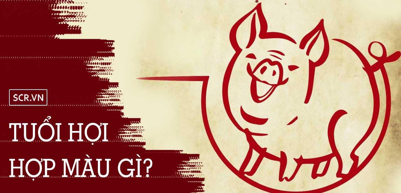 Màu sắc hợp tuổi Tân Hợi 2031