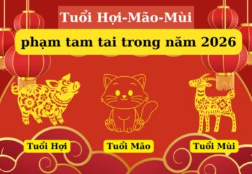 Phong thủy hợp tuổi năm 2026 mang lại may mắn