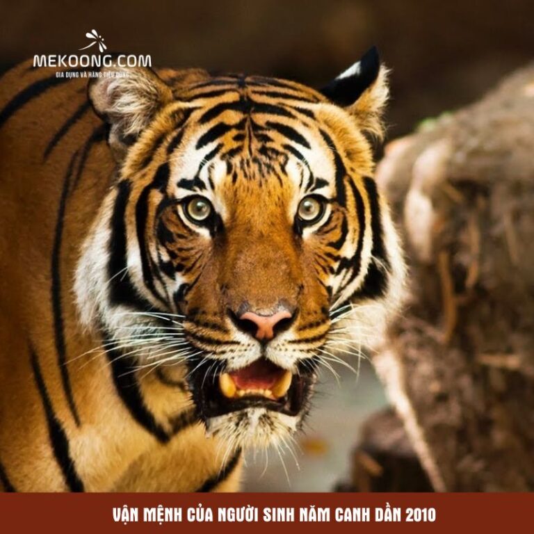 Bản đồ chiêm tinh Vệ Đà cho người sinh năm 2010