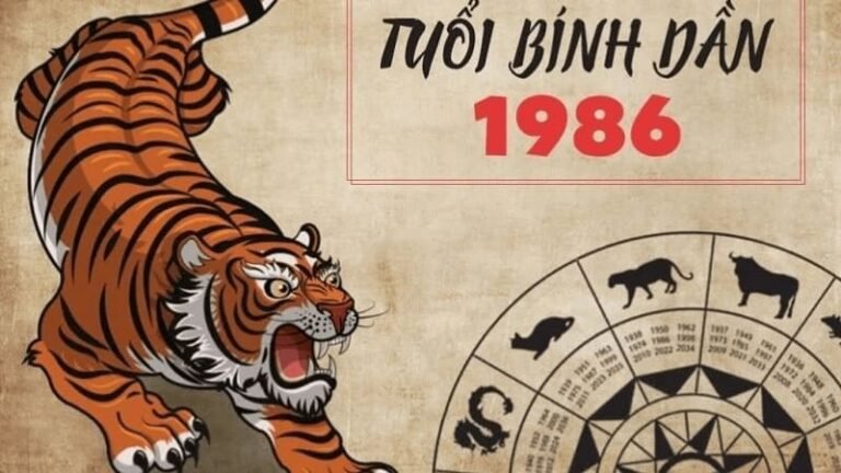 Tử vi Bính Thân 2016 nam mạng năm 2026