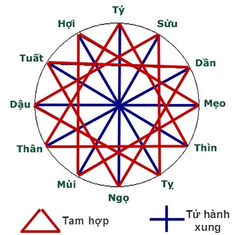 Tam hợp tuổi Dần mang lại may mắn và thịnh vượng