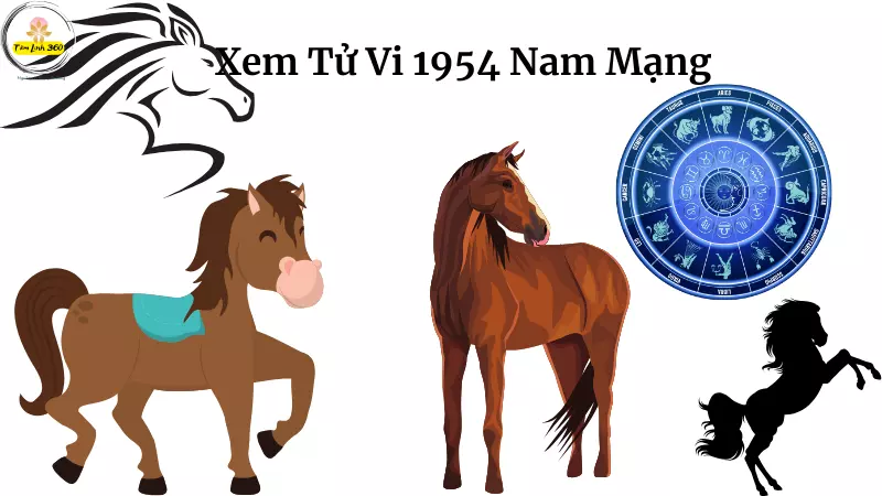 Bản đồ chiêm tinh Vệ Đà cho người sinh năm 1995