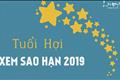 Hình minh họa tử vi Kỷ Hợi 2019